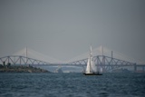 2021 wed dragon edinburgh cup ec21 8935w